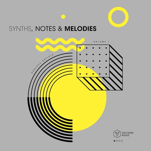 VA - Synths, Notes & Melodies Vol. 1 [VOLTCOMP1216]